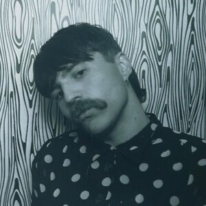 Meet your Posher, Ant